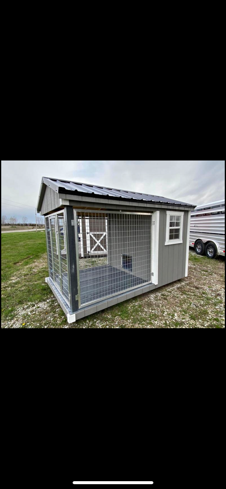 Amish hot sale kennel dog